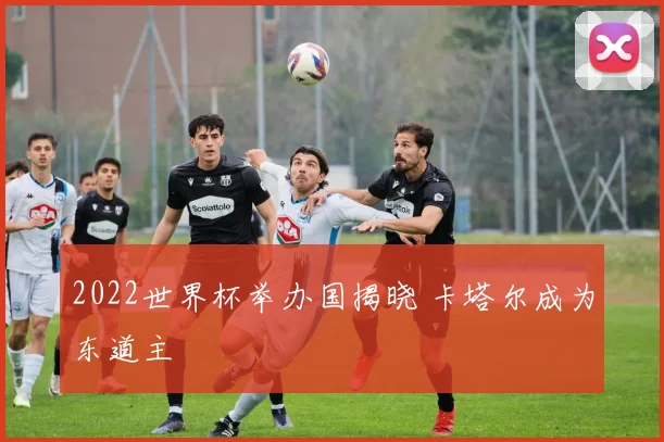 2022世界杯举办国揭晓 卡塔尔成为东道主